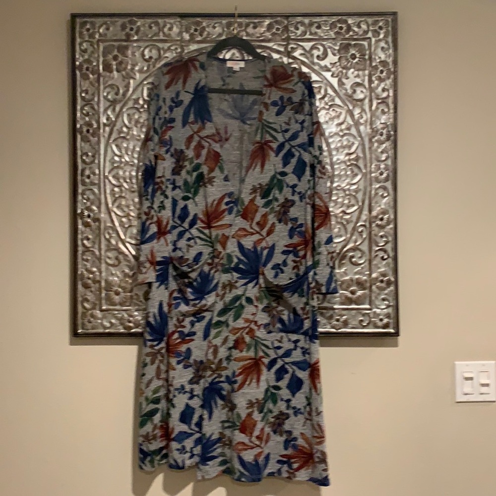 L beautiful LulaRoe Sarah